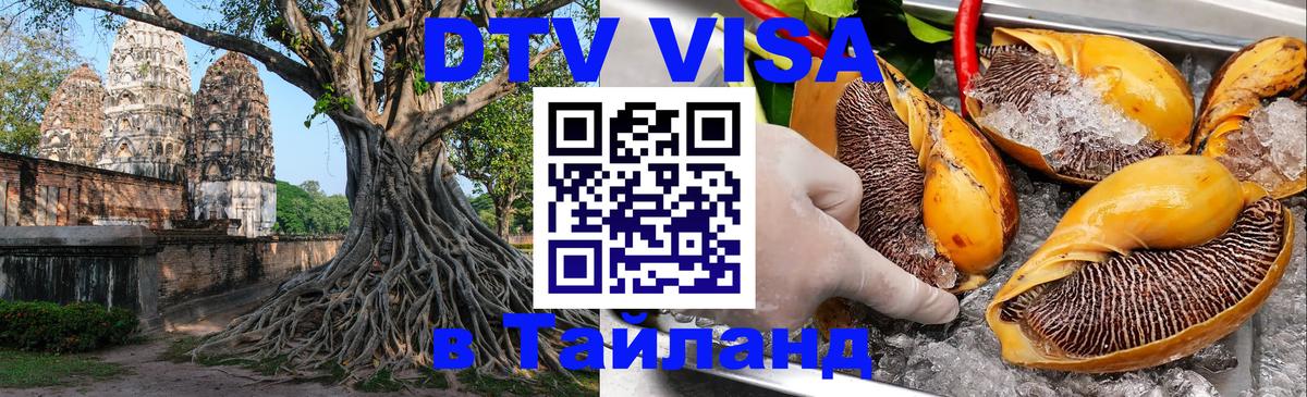Виза ДТВ на 5 лет в Тайланд Бийск 